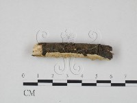登錄號:F0013733藏品圖，第3張