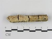 登錄號:F0013734藏品圖，第1張