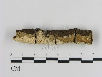 登錄號:F0013734藏品圖，第3張