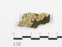 登錄號:F0013735藏品圖，第1張