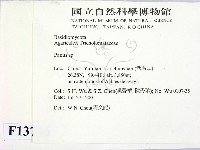 登錄號:F0013736藏品圖，第2張