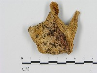登錄號:F0013737藏品圖，第3張