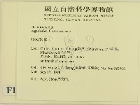 登錄號:F0013741藏品圖，第2張