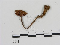 登錄號:F0013741藏品圖，第1張