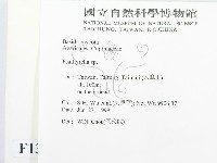 登錄號:F0013743藏品圖，第2張