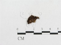 登錄號:F0013743藏品圖，第1張
