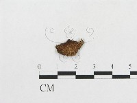 登錄號:F0013743藏品圖，第3張