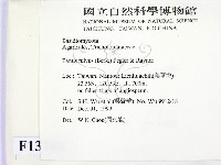 登錄號:F0013744藏品圖，第2張