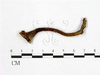 登錄號:F0013744藏品圖，第1張
