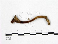 登錄號:F0013744藏品圖，第3張