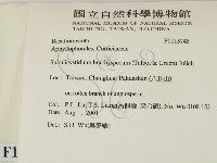 登錄號:F0013745藏品圖，第2張