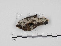 登錄號:F0013745藏品圖，第1張