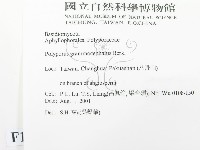 登錄號:F0013746藏品圖，第2張