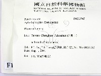 顯絲菌屬藏品圖，第2張