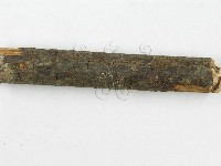 登錄號:F0013749藏品圖，第5張