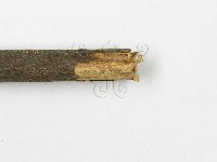 登錄號:F0013749藏品圖，第6張