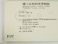 炭角菌屬藏品圖，第2張