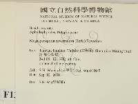 登錄號:F0013751藏品圖，第2張