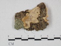 登錄號:F0013751藏品圖，第1張