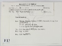 登錄號:F0013752藏品圖，第2張