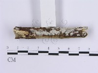 登錄號:F0013752藏品圖，第1張