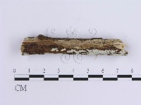 登錄號:F0013752藏品圖，第3張