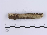 登錄號:F0013752藏品圖，第4張