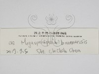 登錄號:F0013755藏品圖，第2張