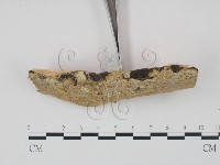 登錄號:F0013755藏品圖，第3張