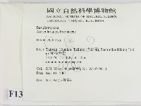 刺皮菌屬藏品圖，第2張