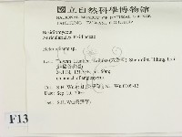 刺皮菌屬藏品圖，第2張