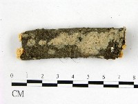 登錄號:F0013761藏品圖，第1張