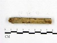 登錄號:F0013762藏品圖，第3張