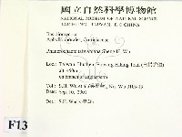 登錄號:F0013764藏品圖，第2張
