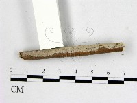 登錄號:F0013764藏品圖，第1張