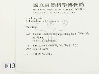 射脈菌屬藏品圖，第2張