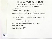 登錄號:F0013770藏品圖，第2張