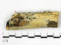 登錄號:F0013770藏品圖，第1張