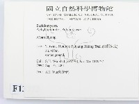 登錄號:F0013772藏品圖，第2張