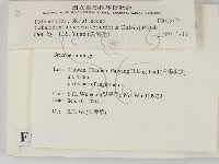登錄號:F0013774藏品圖，第2張