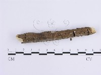 登錄號:F0013774藏品圖，第4張