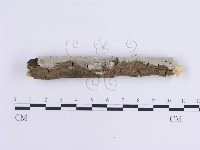 登錄號:F0013774藏品圖，第5張