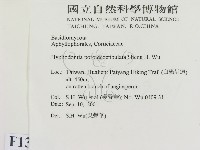 登錄號:F0013776藏品圖，第2張