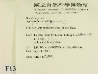 登錄號:F0013779藏品圖，第2張
