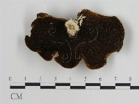 登錄號:F0013779藏品圖，第1張