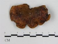 登錄號:F0013779藏品圖，第3張