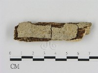 登錄號:F0013781藏品圖，第1張