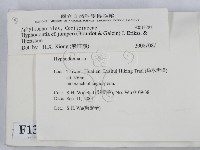登錄號:F0013783藏品圖，第2張
