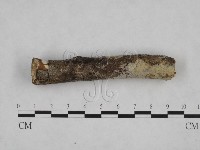登錄號:F0013783藏品圖，第1張