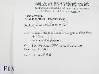 登錄號:F0013785藏品圖，第2張